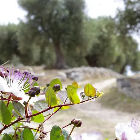 Oda ve Kahvaltı Lichiantidde Home&breakfast