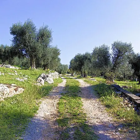 Lichiantidde Home&breakfast 4* Ostuni