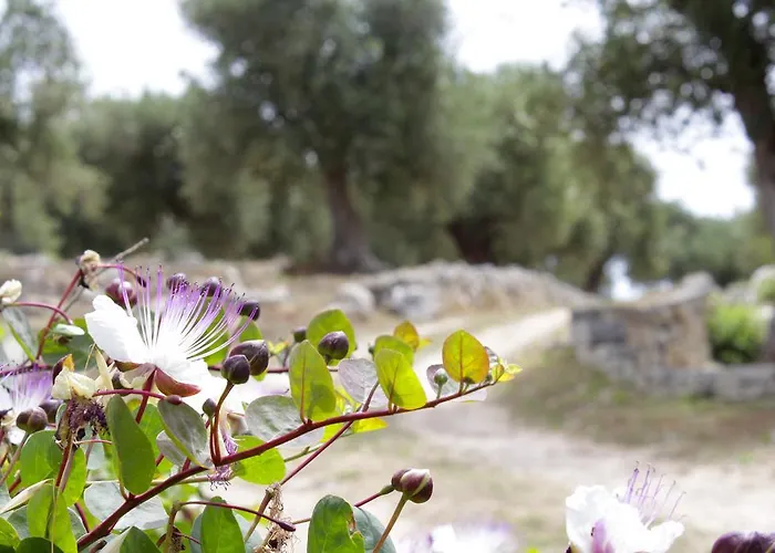 Alojamento de Acomodação e Pequeno-almoço Lichiantidde Home&breakfast